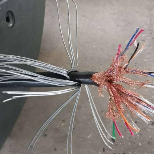  ZR-DJYP2VP2-22阻燃計算機電纜2*2*1.0 