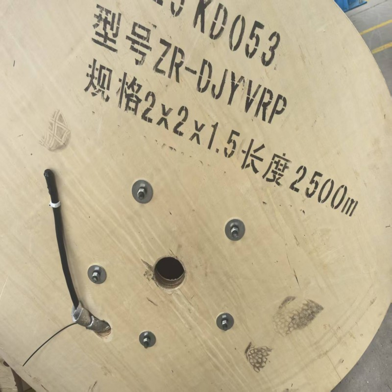 阻燃鎧裝本質安全電路計算機電纜&nbsp; 